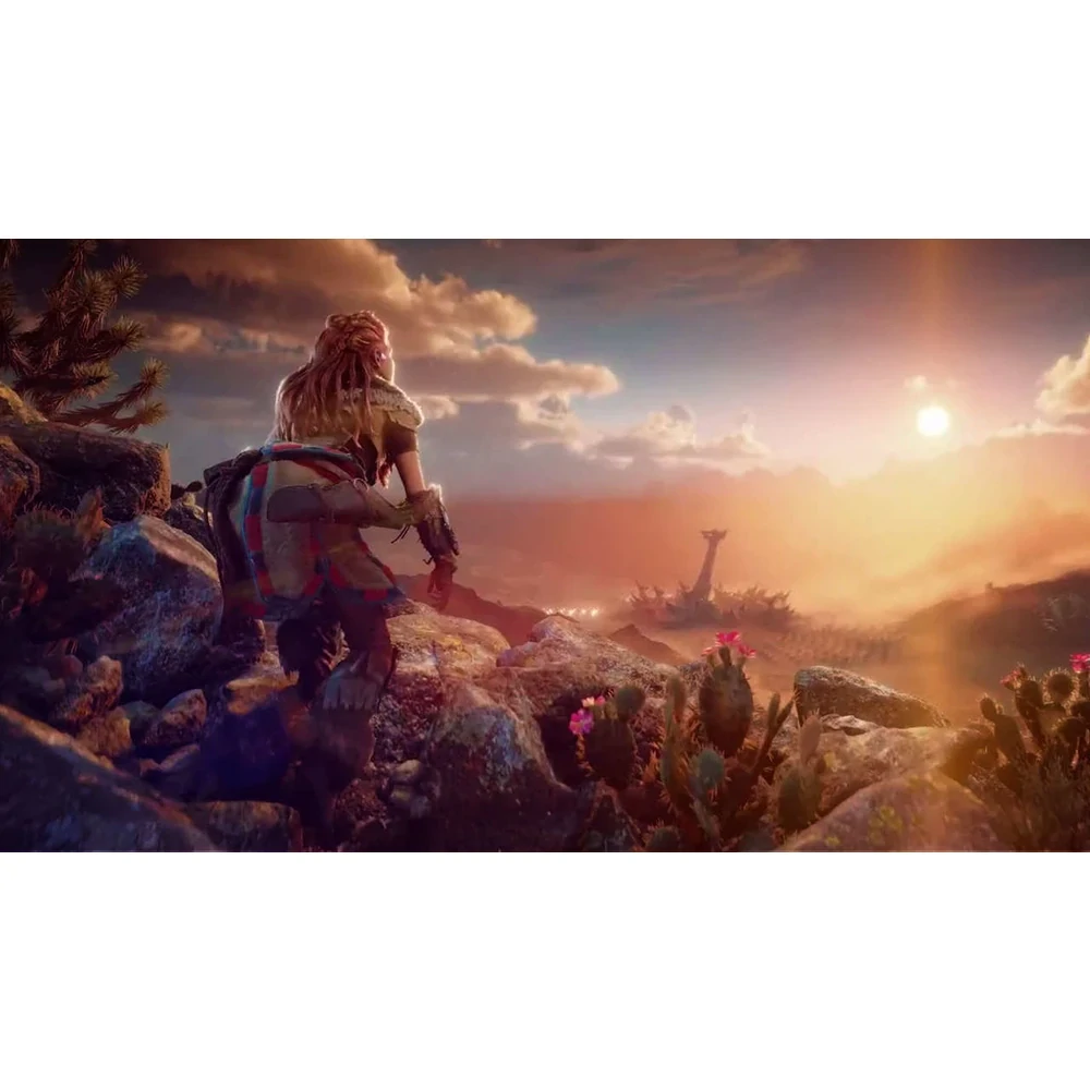 PS5 Horizon: Forbidden West (bazar)