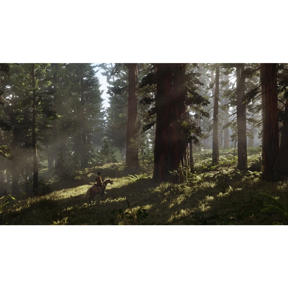 XONE Red Dead Redemption 2 (bazar)