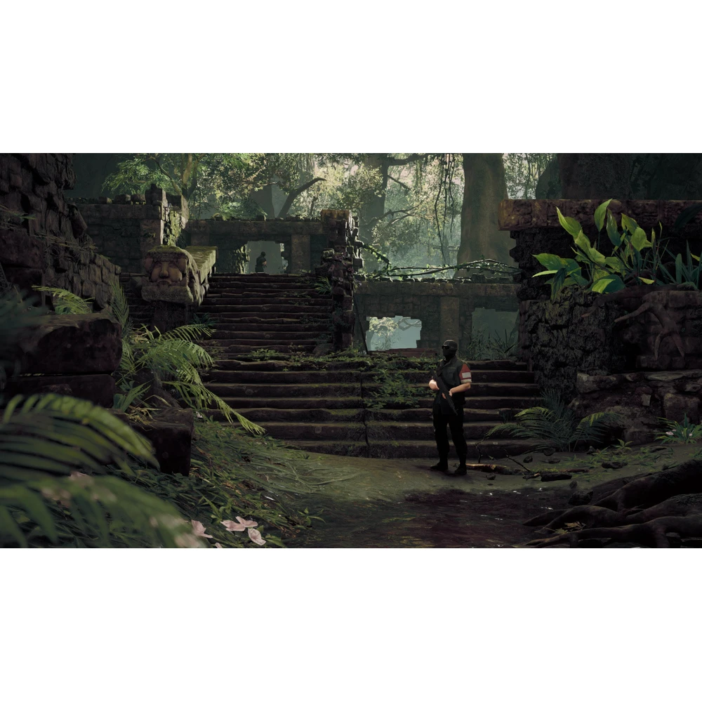 PS4 Predator: Hunting Grounds (bazar)