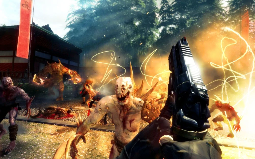 PS4 Shadow Warrior (bazar)