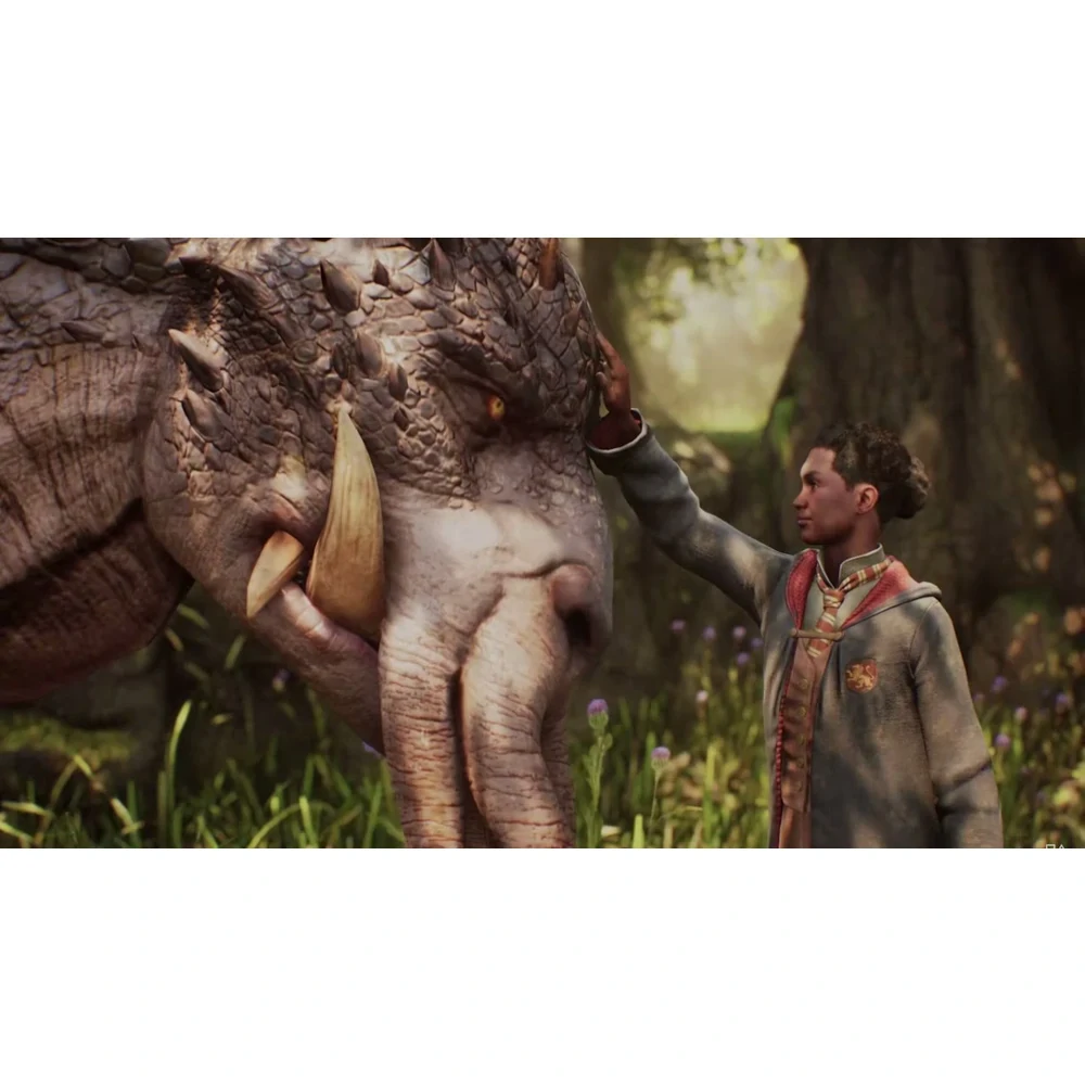 PS5 Hogwarts Legacy (bazar)