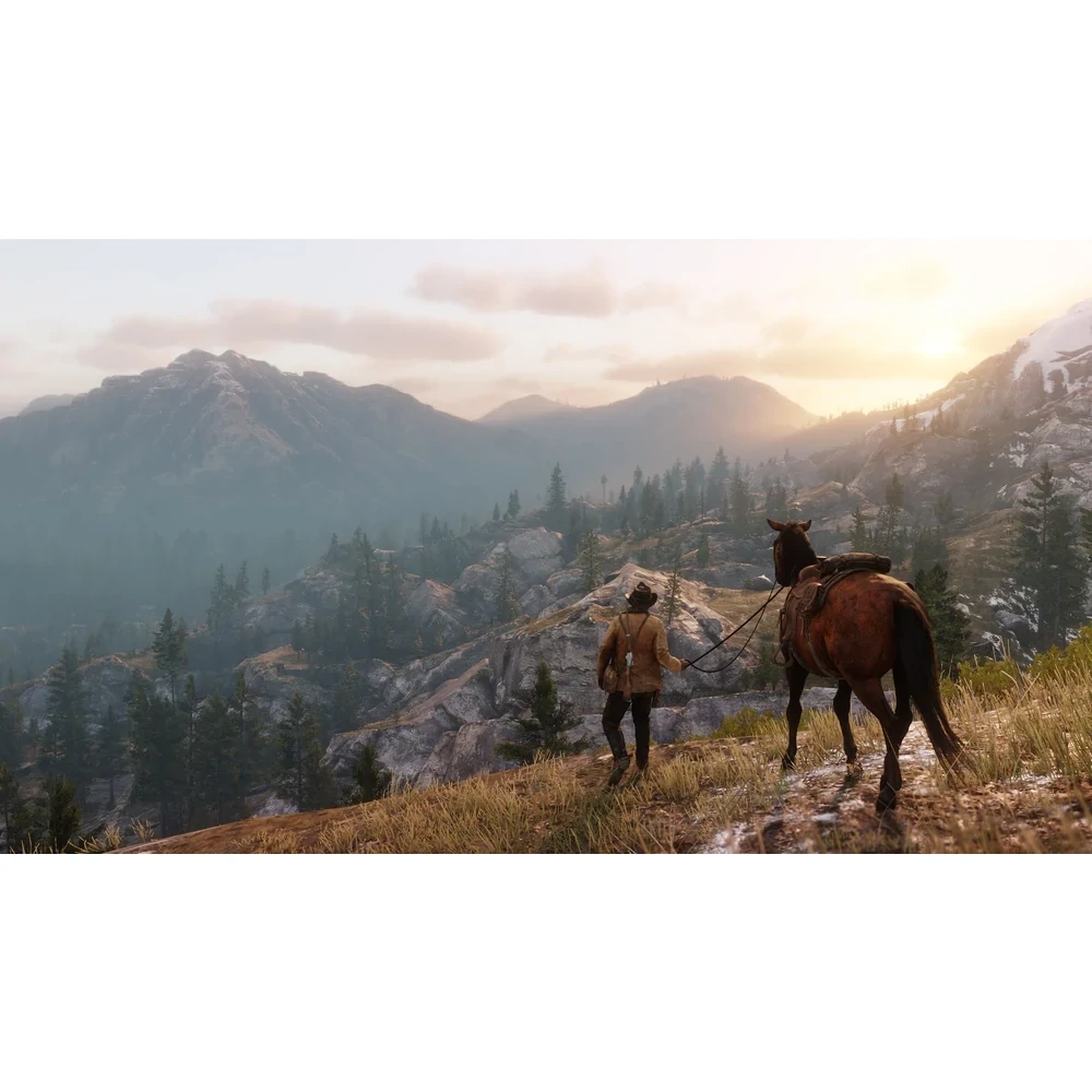 PS4 Red Dead Redemption 2 (bazar)