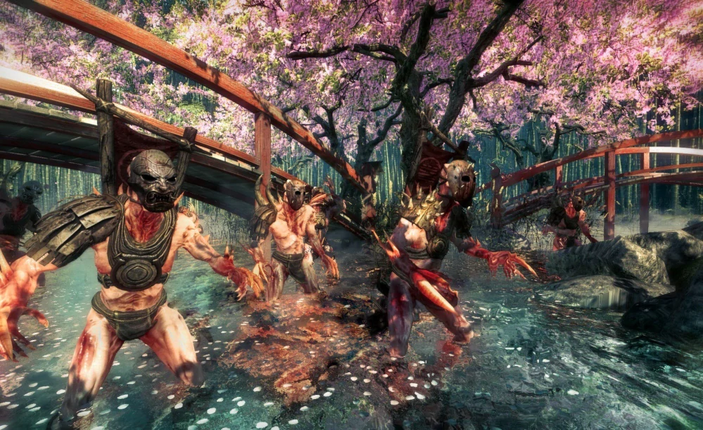 PS4 Shadow Warrior (bazar)