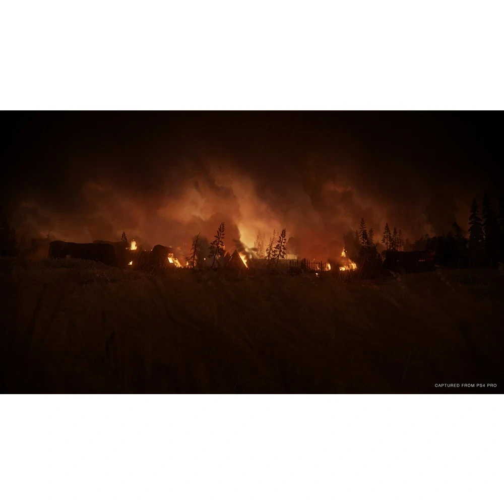 PS4 The Last of Us: Part II (bazar)
